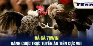 Đá gà 78win - Đánh cược trực tuyến ăn tiền cực vui năm 2024