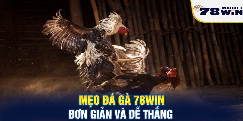 Mẹo đá gà 78win đơn giản và dễ thắng